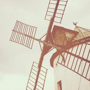 三级片视频播放
